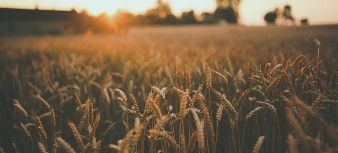 My Year of Broken Sleep