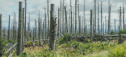 Inbox, Outbox, Burnout