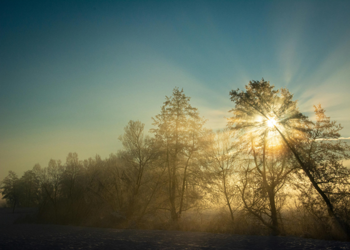 St. Brigid's Day: Supporting Your Body Through Seasonal Transitions