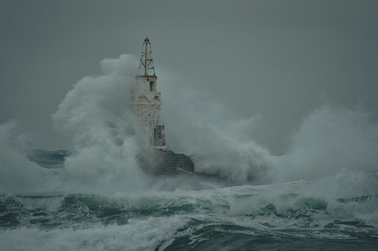 The Body Always Knew Before I Did